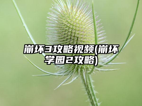 崩坏3攻略视频(崩坏学园2攻略)