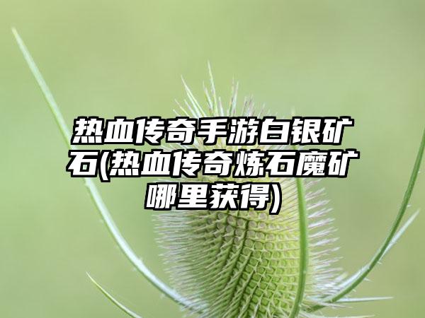 热血传奇手游白银矿石(热血传奇炼石魔矿哪里获得)