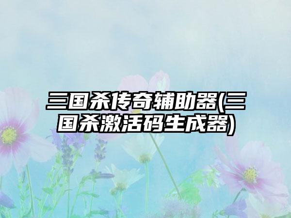 三国杀传奇辅助器(三国杀激活码生成器)