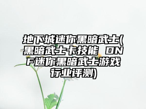 地下城迷你黑暗武士(黑暗武士卡技能 DNF迷你黑暗武士游戏行业评测)