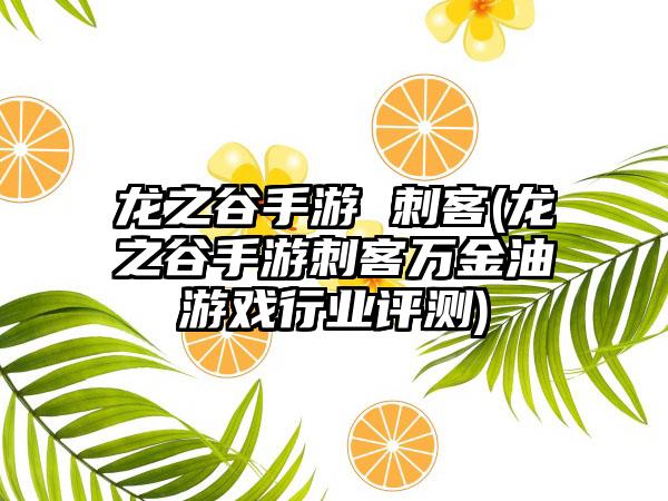 龙之谷手游 刺客(龙之谷手游刺客万金油游戏行业评测)
