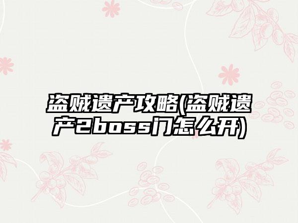 盗贼遗产攻略(盗贼遗产2boss门怎么开)