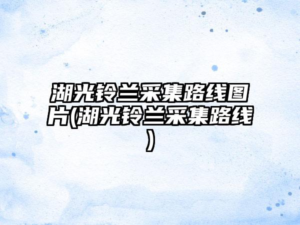 湖光铃兰采集路线图片(湖光铃兰采集路线)