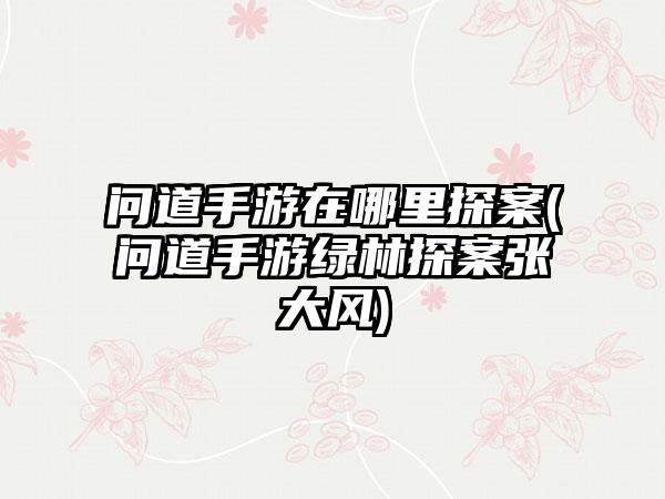 问道手游在哪里探案(问道手游绿林探案张大风)