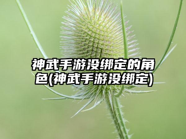 神武手游没绑定的角色(神武手游没绑定)