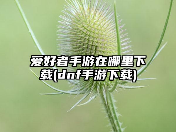 爱好者手游在哪里下载(dnf手游下载)
