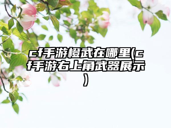 cf手游橙武在哪里(cf手游右上角武器展示)