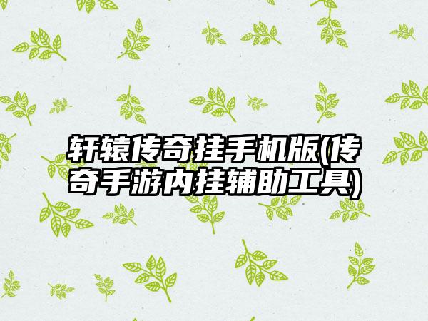 轩辕传奇挂手机版(传奇手游内挂辅助工具)