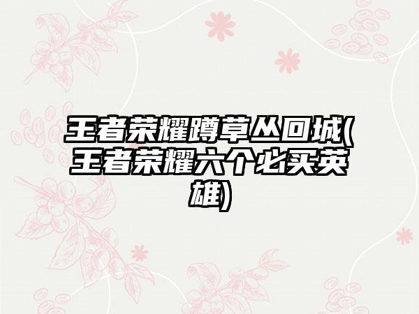 王者荣耀蹲草丛回城(王者荣耀六个必买英雄)