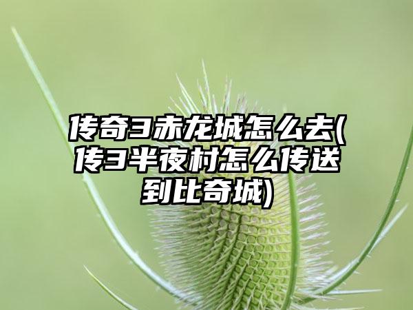 传奇3赤龙城怎么去(传3半夜村怎么传送到比奇城)