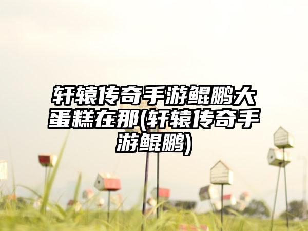 轩辕传奇手游鲲鹏大蛋糕在那(轩辕传奇手游鲲鹏)