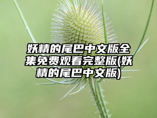 妖精的尾巴中文版全集免费观看完整版(妖精的尾巴中文版)