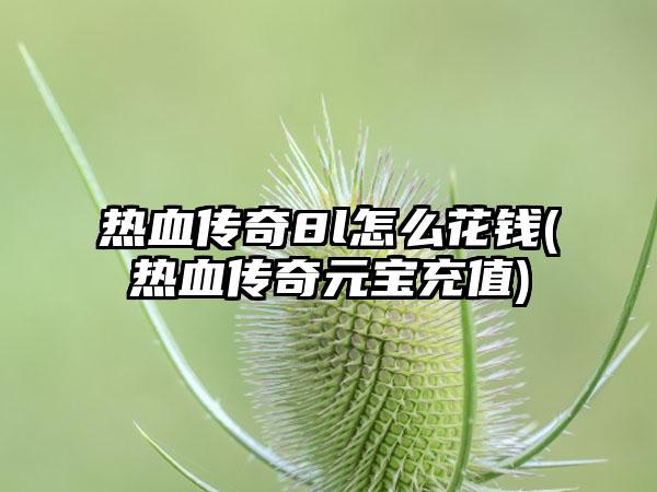 热血传奇8l怎么花钱(热血传奇元宝充值)