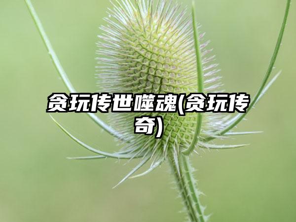 贪玩传世噬魂(贪玩传奇)
