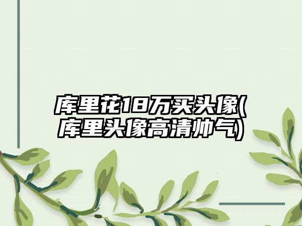 库里花18万买头像(库里头像高清帅气)