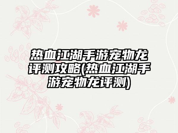 热血江湖手游宠物龙评测攻略(热血江湖手游宠物龙评测)