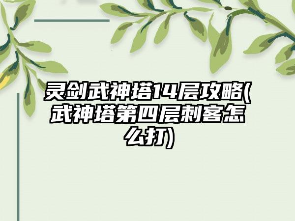 灵剑武神塔14层攻略(武神塔第四层刺客怎么打)