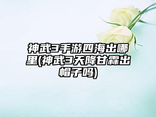 神武3手游四海出哪里(神武3天降甘霖出帽子吗)
