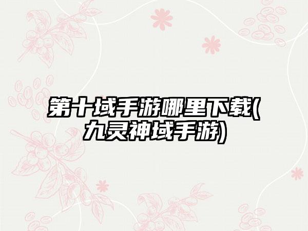 第十域手游哪里下载(九灵神域手游)