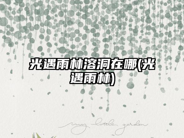 光遇雨林溶洞在哪(光遇雨林)