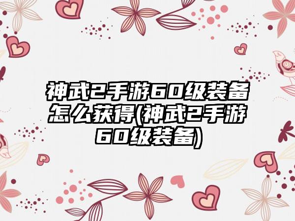 神武2手游60级装备怎么获得(神武2手游60级装备)