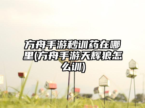 方舟手游秒训药在哪里(方舟手游天辉狼怎么训)