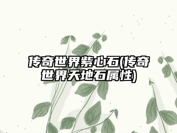 传奇世界紫心石(传奇世界天地石属性)