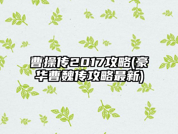 曹操传2017攻略(豪华曹魏传攻略最新)