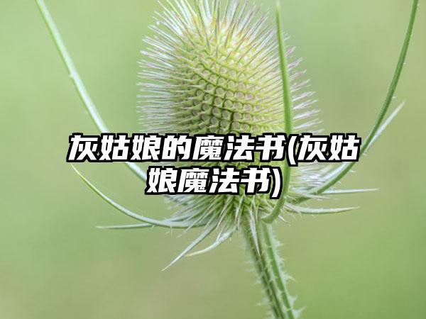 灰姑娘的魔法书(灰姑娘魔法书)