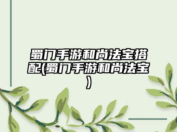 蜀门手游和尚法宝搭配(蜀门手游和尚法宝)