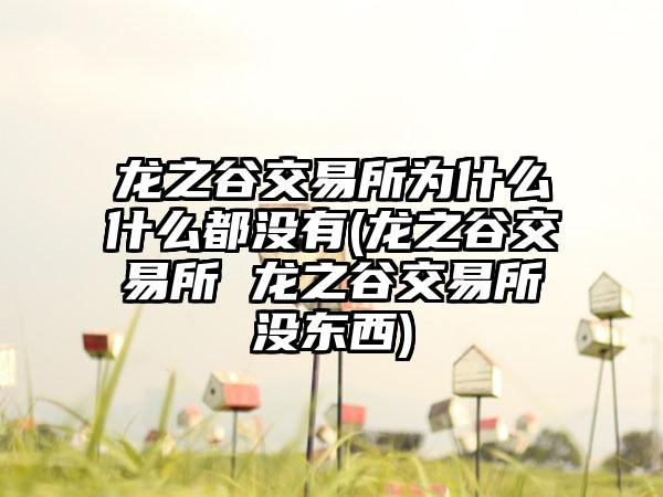 龙之谷交易所为什么什么都没有(龙之谷交易所 龙之谷交易所没东西)
