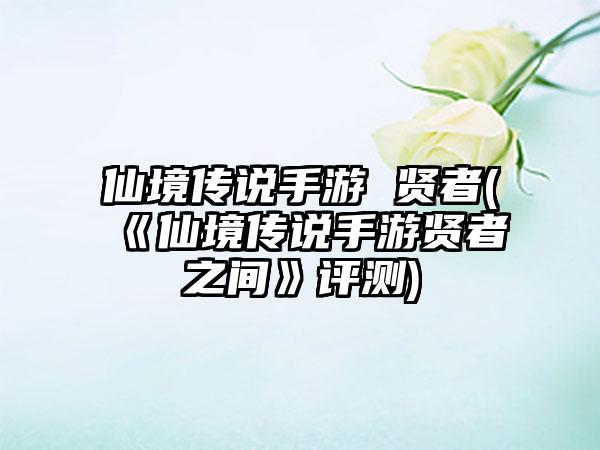仙境传说手游 贤者(《仙境传说手游贤者之间》评测)