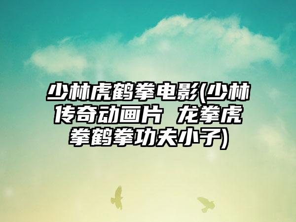 少林虎鹤拳电影(少林传奇动画片 龙拳虎拳鹤拳功夫小子)