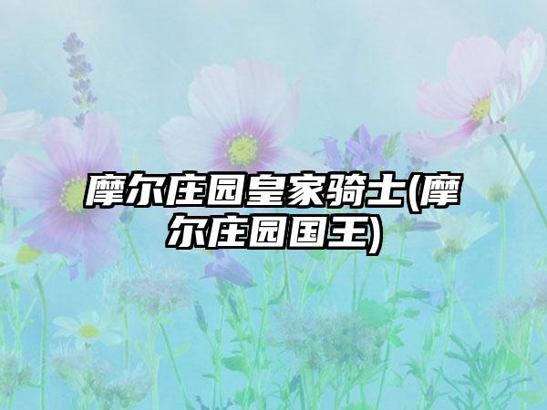 摩尔庄园皇家骑士(摩尔庄园国王)