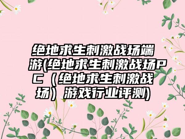 绝地求生刺激战场端游(绝地求生刺激战场PC（绝地求生刺激战场）游戏行业评测)