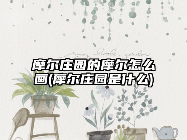 摩尔庄园的摩尔怎么画(摩尔庄园是什么)