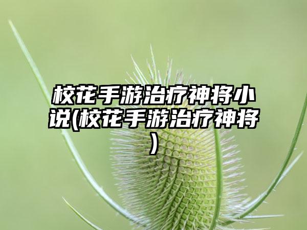 校花手游治疗神将小说(校花手游治疗神将)