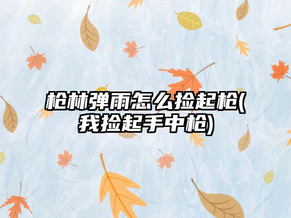 枪林弹雨怎么捡起枪(我捡起手中枪)