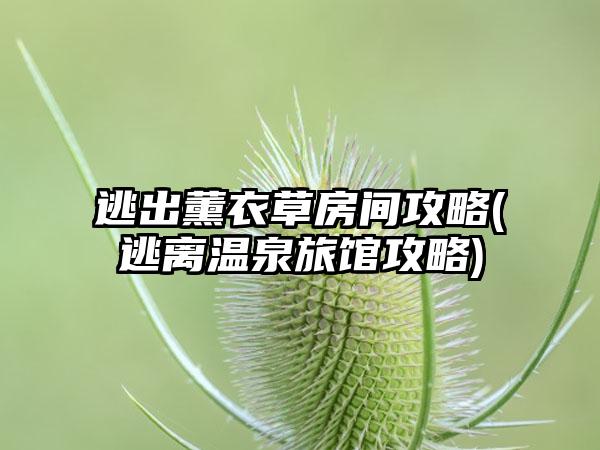 逃出薰衣草房间攻略(逃离温泉旅馆攻略)