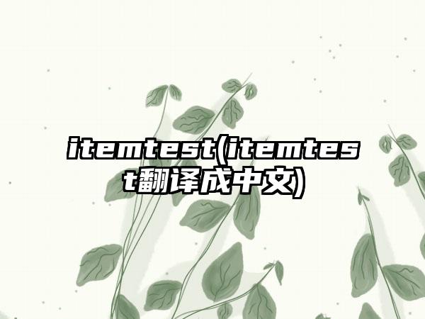 itemtest(itemtest翻译成中文)