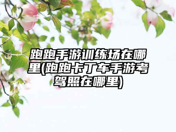跑跑手游训练场在哪里(跑跑卡丁车手游考驾照在哪里)