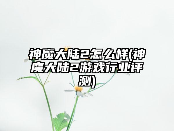 神魔大陆2怎么样(神魔大陆2游戏行业评测)