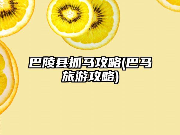 巴陵县抓马攻略(巴马旅游攻略)