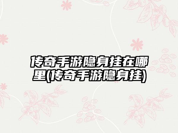 传奇手游隐身挂在哪里(传奇手游隐身挂)
