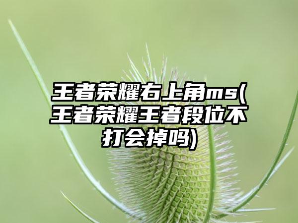 王者荣耀右上角ms(王者荣耀王者段位不打会掉吗)