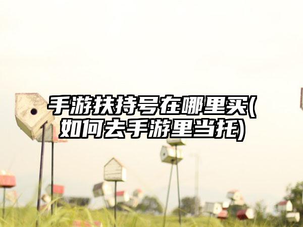 手游扶持号在哪里买(如何去手游里当托)