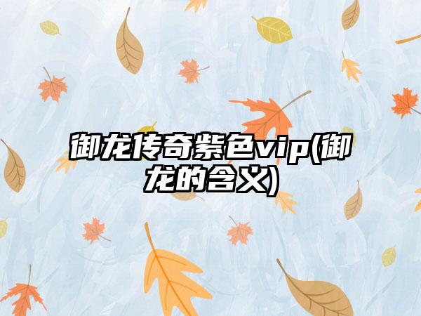 御龙传奇紫色vip(御龙的含义)