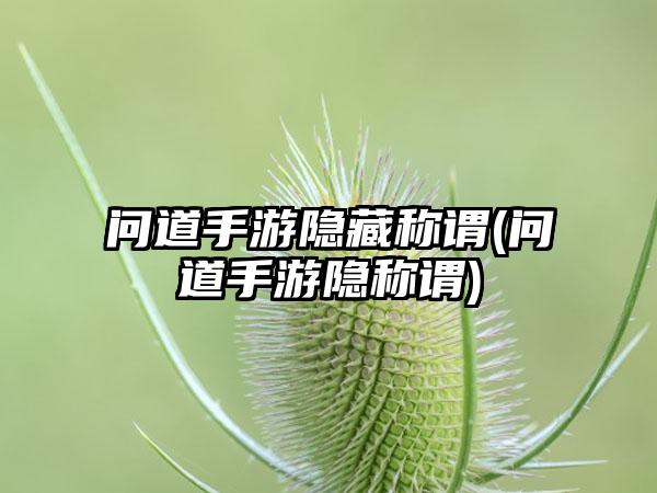 问道手游隐藏称谓(问道手游隐称谓)