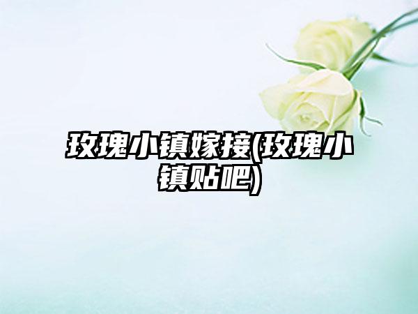 玫瑰小镇嫁接(玫瑰小镇贴吧)
