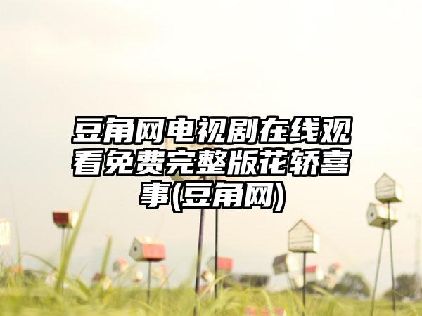 豆角网电视剧在线观看免费完整版花轿喜事(豆角网)
